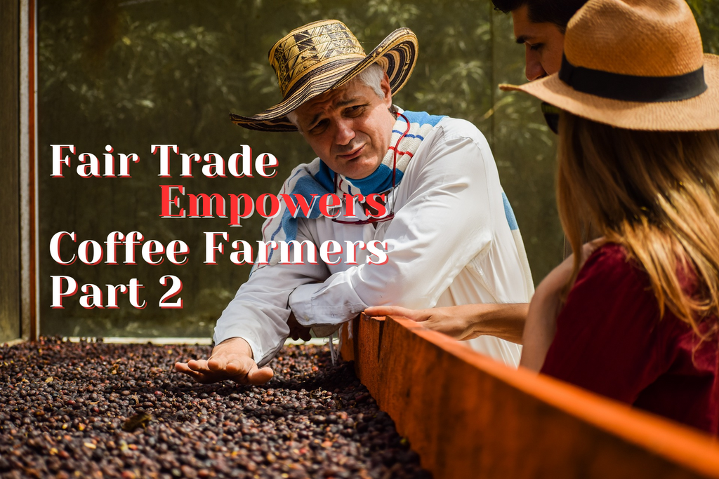 The Art of Coffee Sourcing: Fair Trade and Direct Trade Explained Part 2