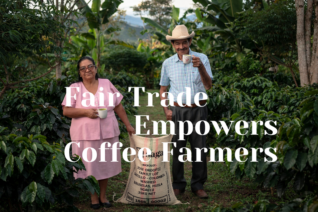 The Role of Fair Trade in the Coffee Industry: Empowering Farmers and Ensuring Sustainability Part 1