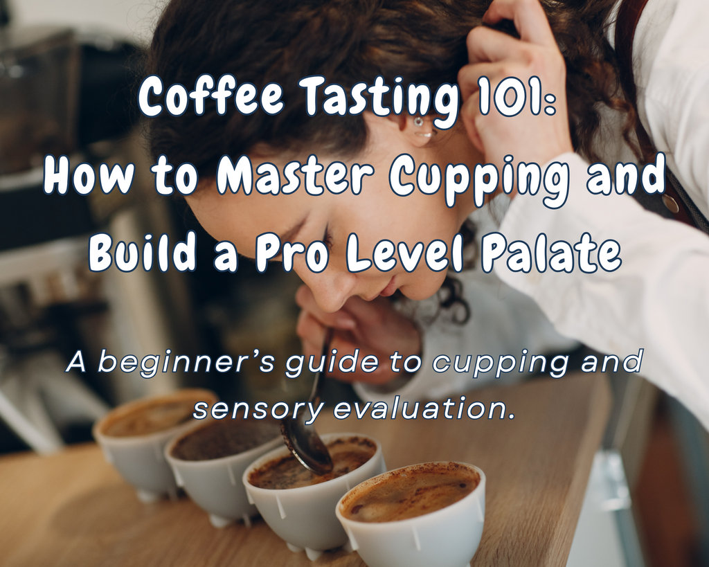 Coffee Tasting 101
