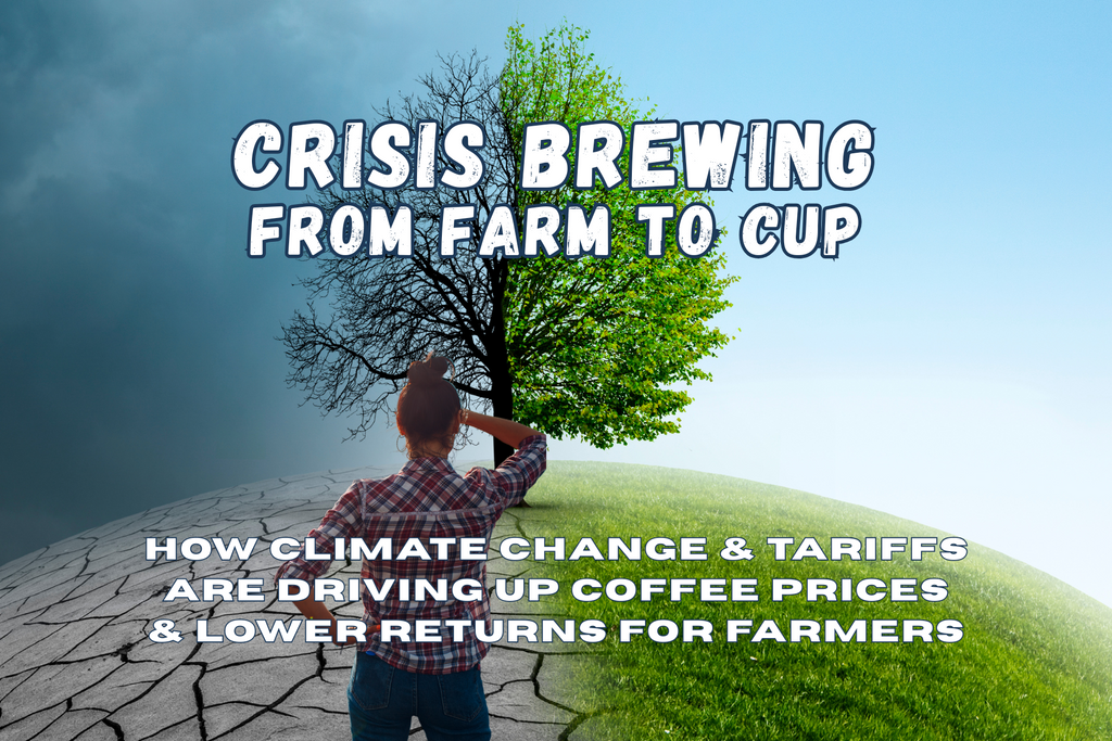 CRISIS Brewing From Farm to Cup: How Climate Change and Tariffs Are Driving Up Coffee Prices