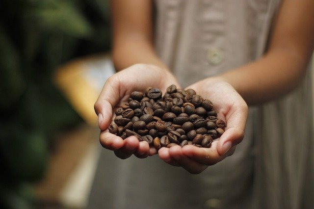 Ethiopian Coffee Origin and History