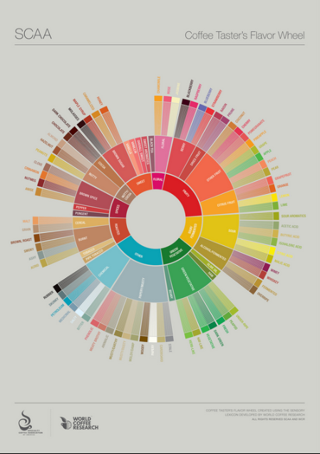 Free SCA Coffee Taster's Wheel